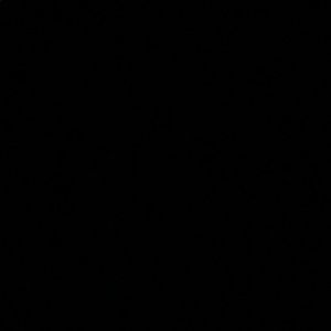 Meet your Posher, Arlene